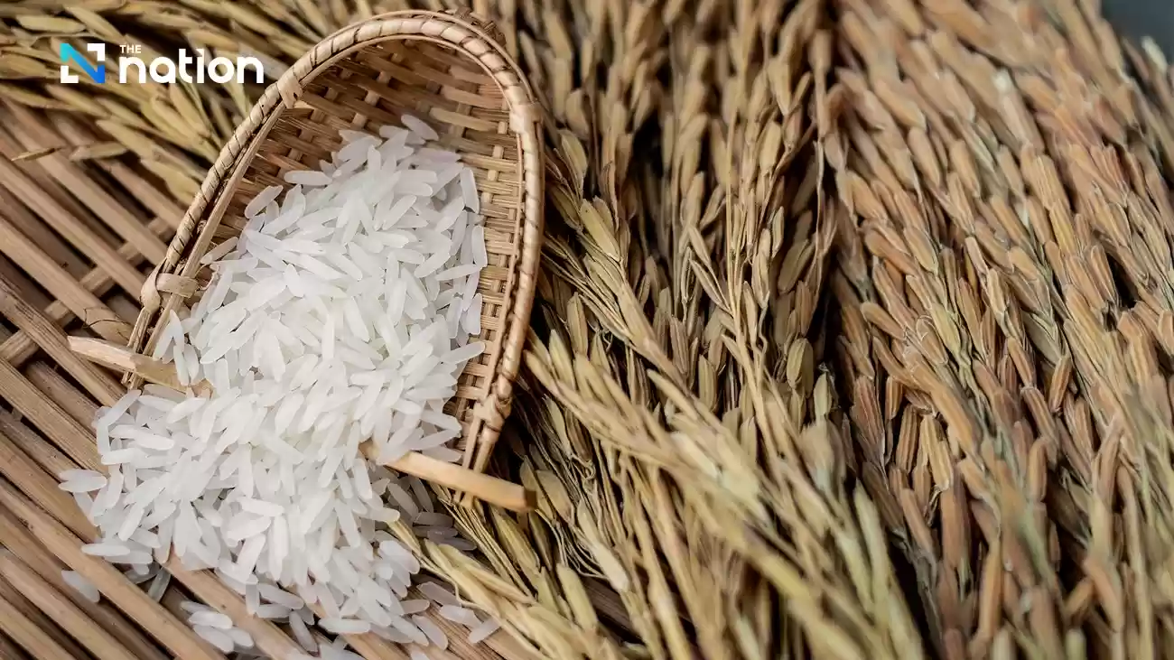 インドは記録的な米の収穫を目指す。中国とシンガポールの取引でタイの価格が上昇