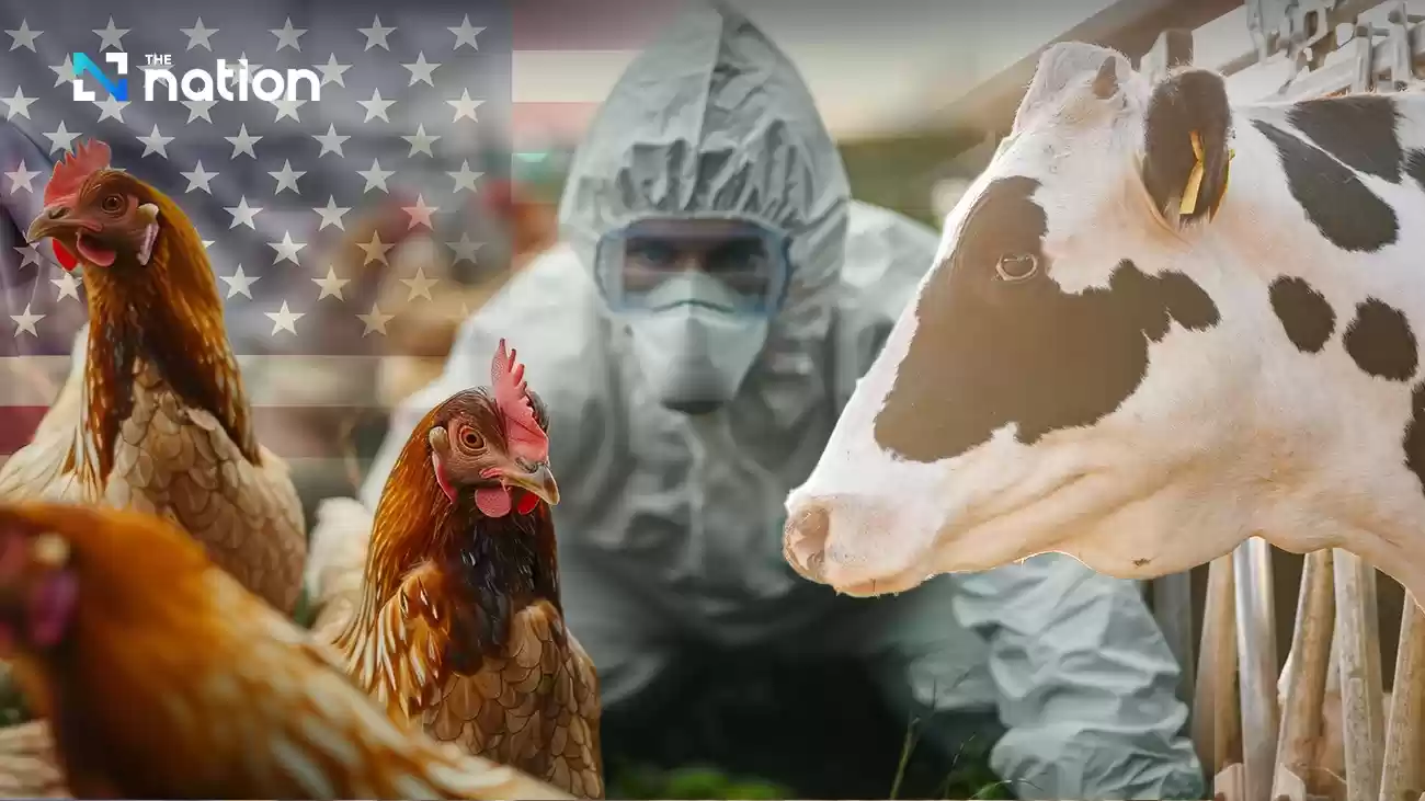 USDA、ウィスコンシン州の乳牛群で鳥インフルエンザ発生を確認、新たな野生動物の流入か