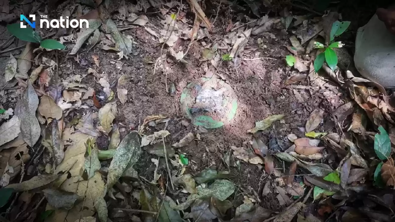 月曜日に別のタイ兵士が地雷で負傷